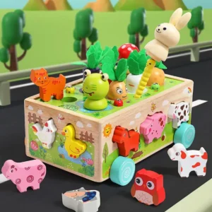 Shape Assortment Matching Game and Building Blocks